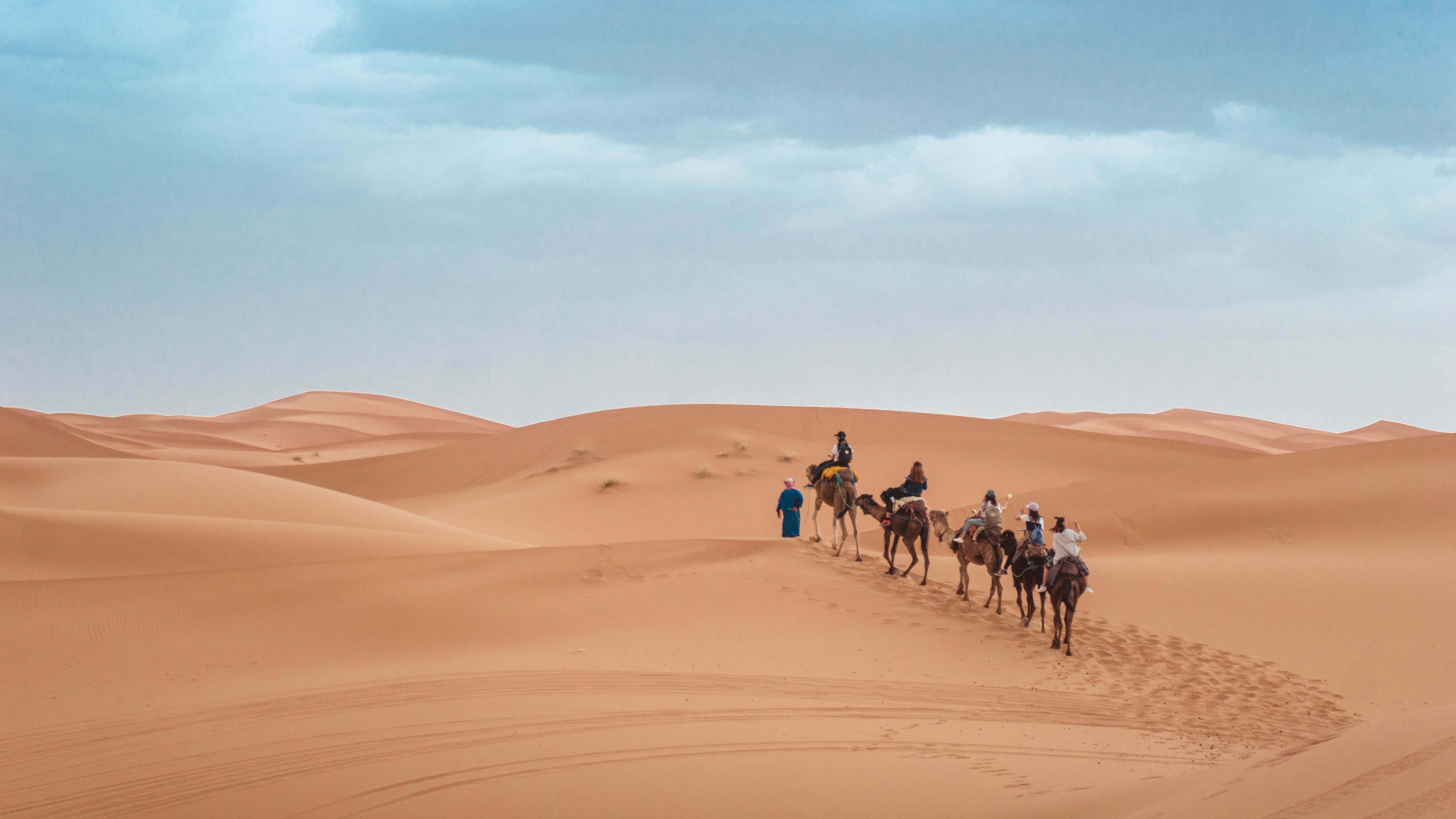 Morocco Travel Shop